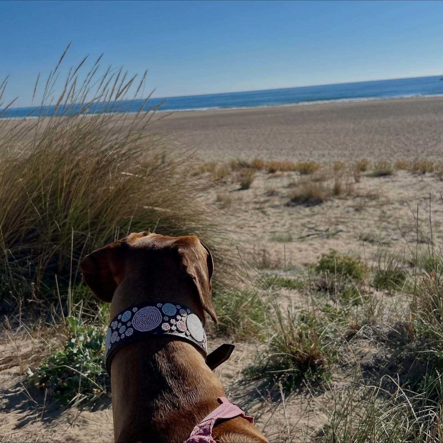 Ferien in Frankreich