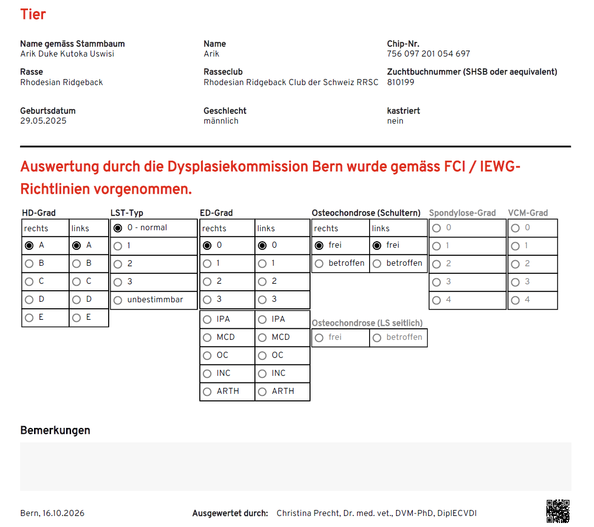 Beste R&ouml;ntgenergebisse f&uuml;r Arik