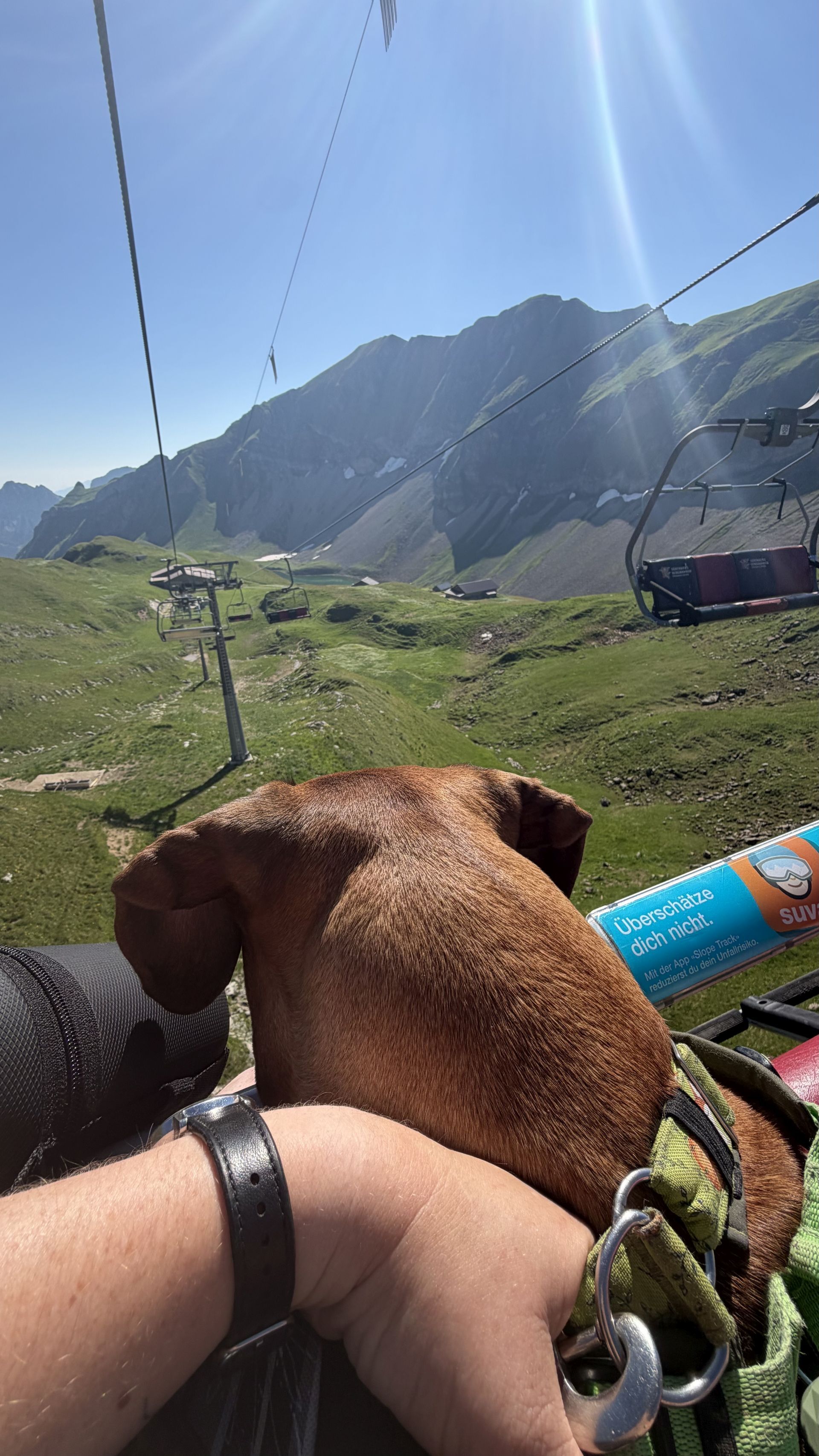 Shumbazino Hatia Feleena, Brienzer Rothorn