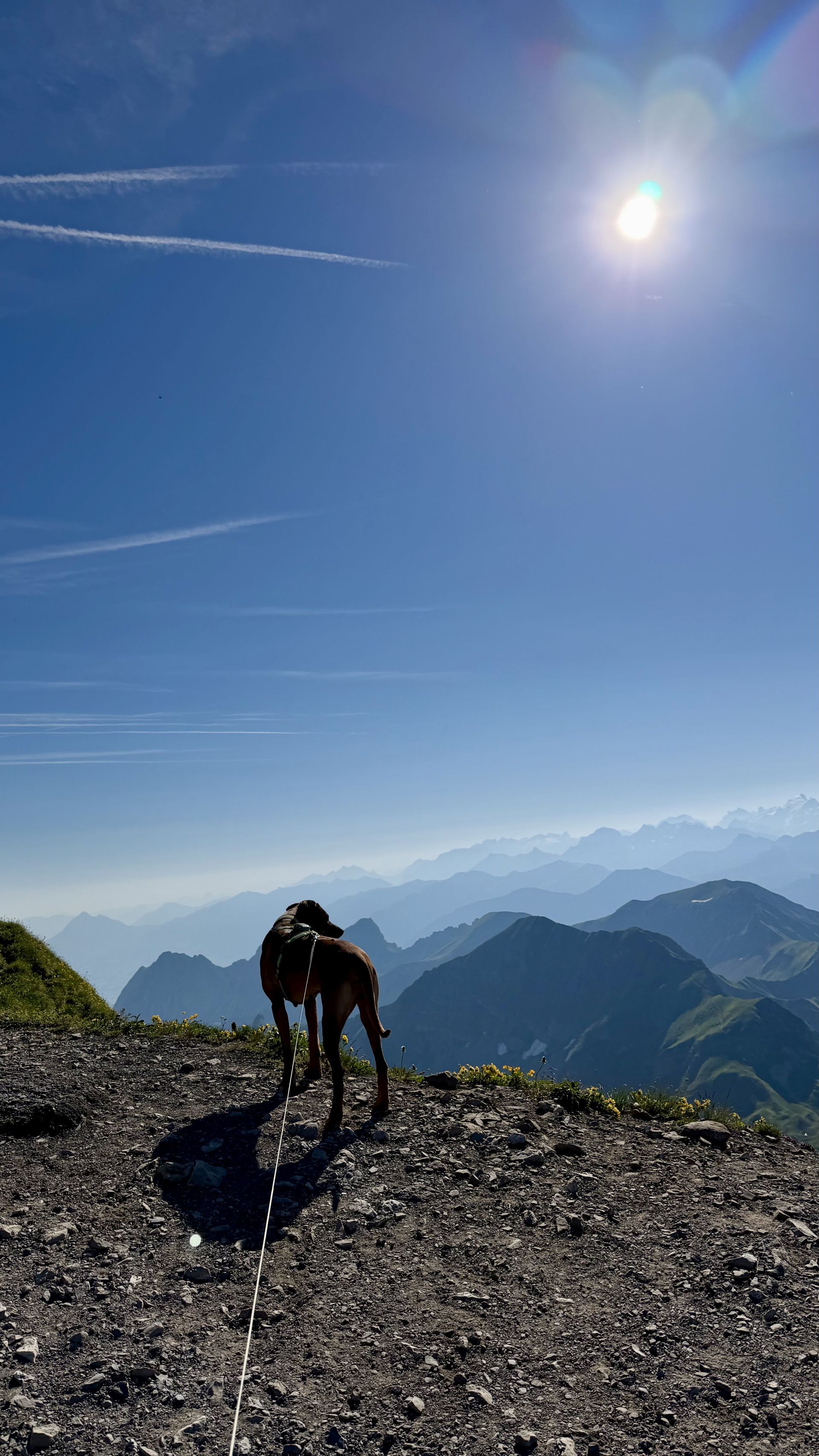 Brienzer Rothorn &ndash; Tias erste Sesselliftfahrt
